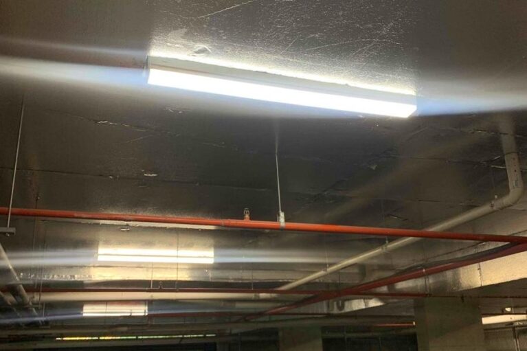 37685_372715_CLU Area 1_Post-installation Photo of Area