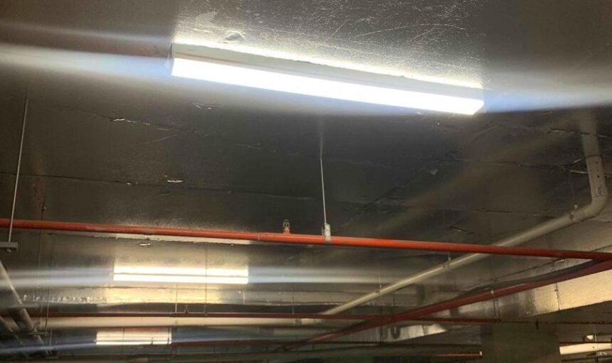 37685_372715_CLU Area 1_Post-installation Photo of Area