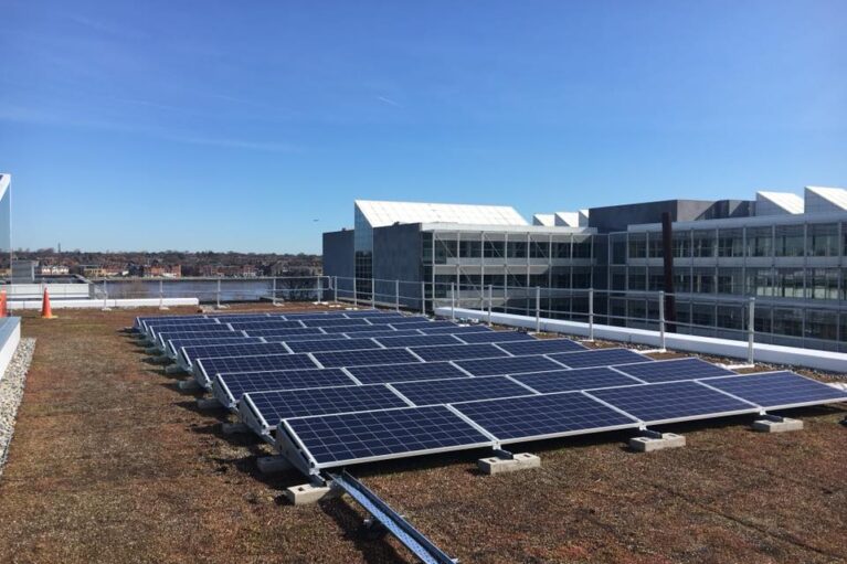 31117413-372169003285178-2730655312473227264-n_orig