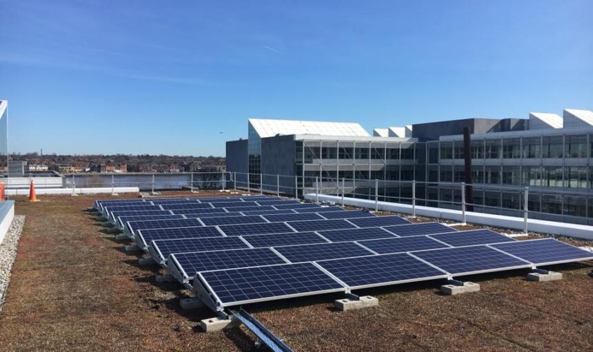 31117413-372169003285178-2730655312473227264-n_orig